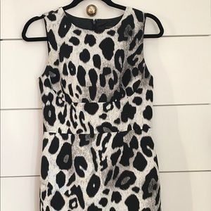 Ann Taylor Midi-Dress
